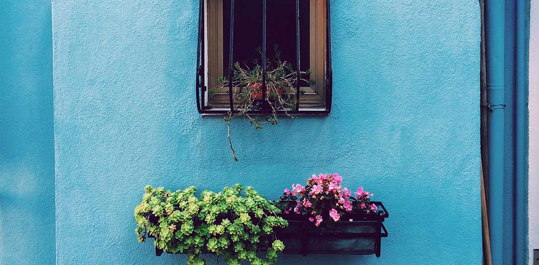 Liz Kirby, Host, The Indoor Garden